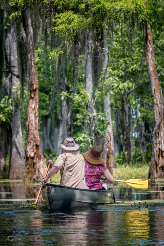 Top Photo Spots at Manchac Swamp in 2022