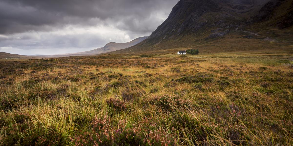 Midges schottland vorhersage