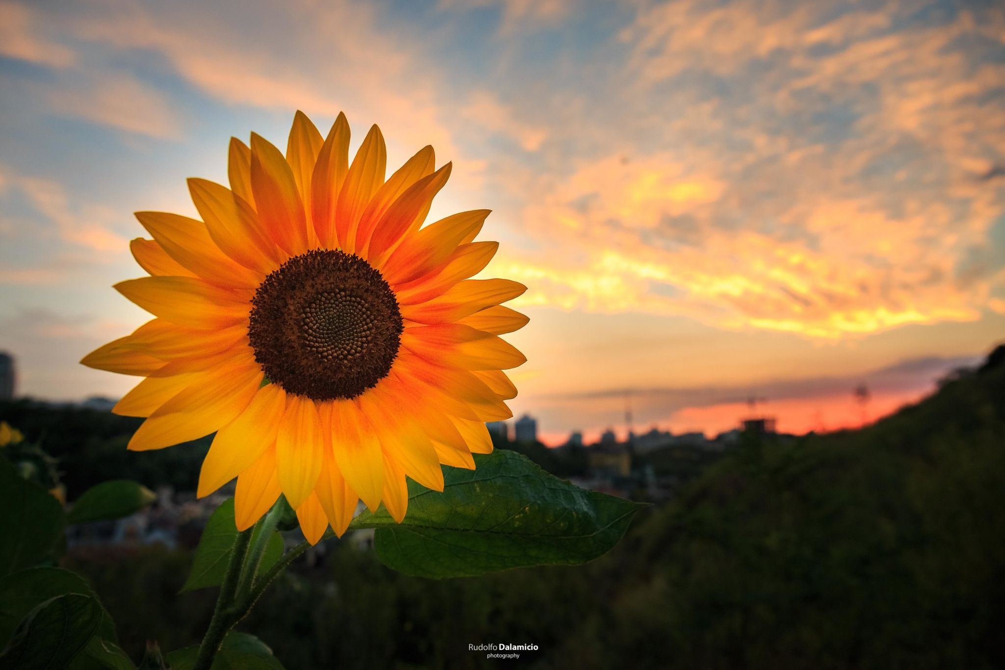 Sunny Kiev, Ukraine