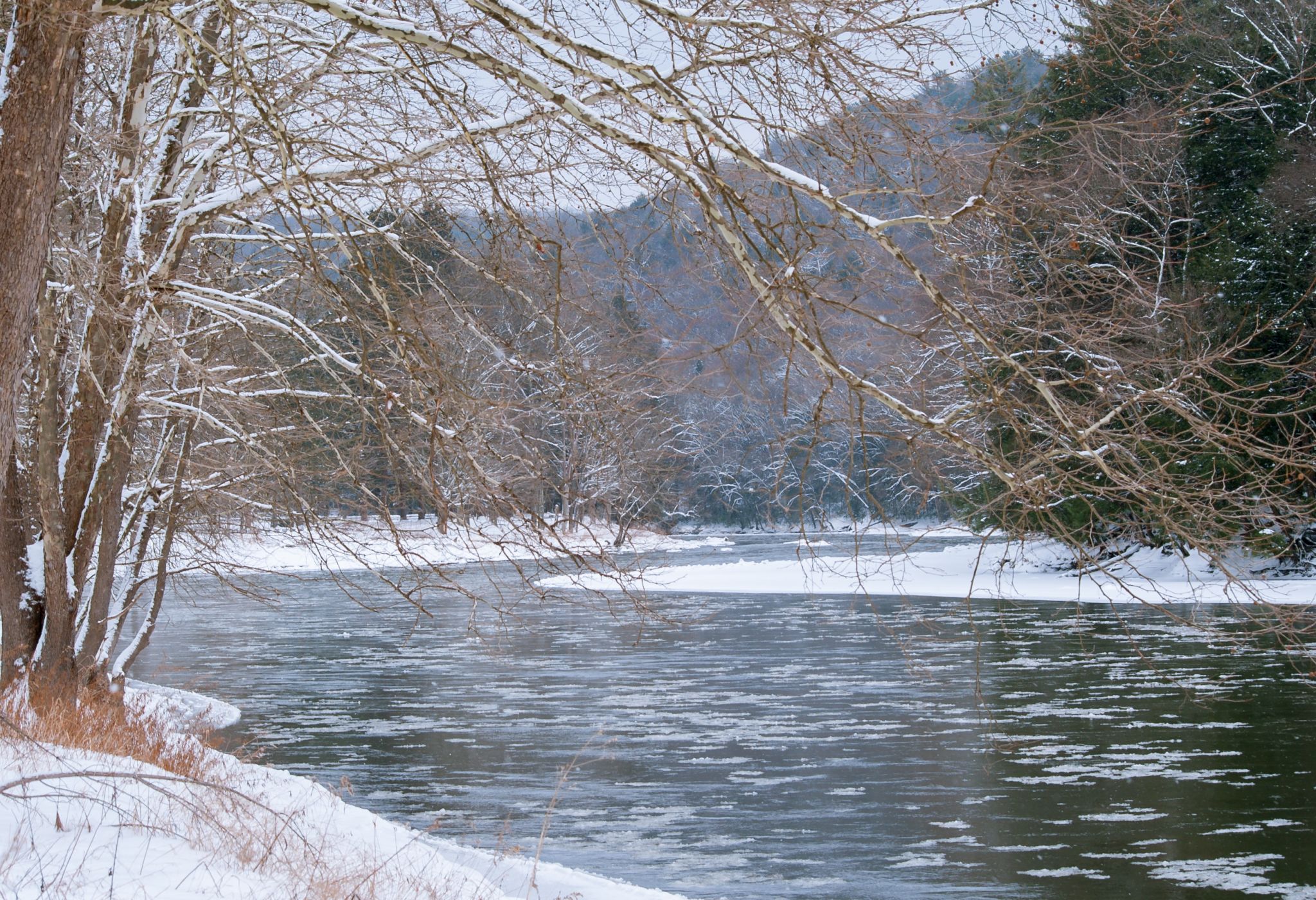 clarion river