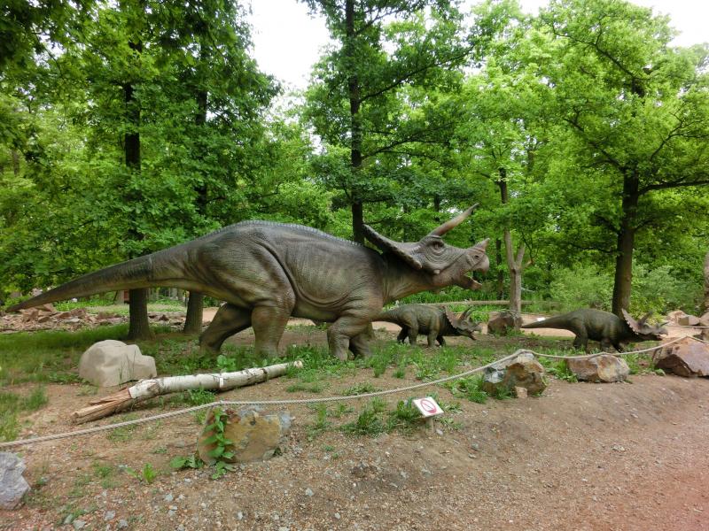 dinosaurs - Top Spots for this Photo Theme