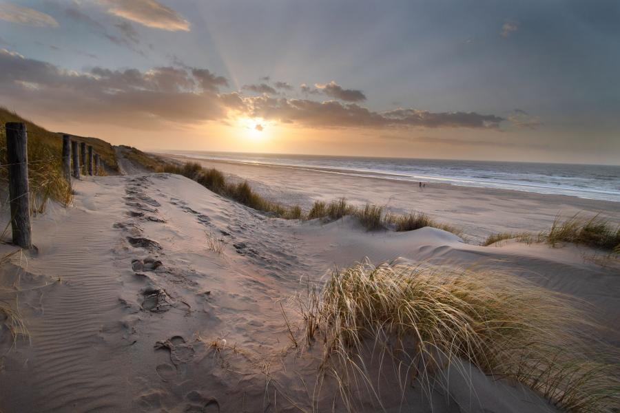 Top Photo Spots At Meijendel In 2022