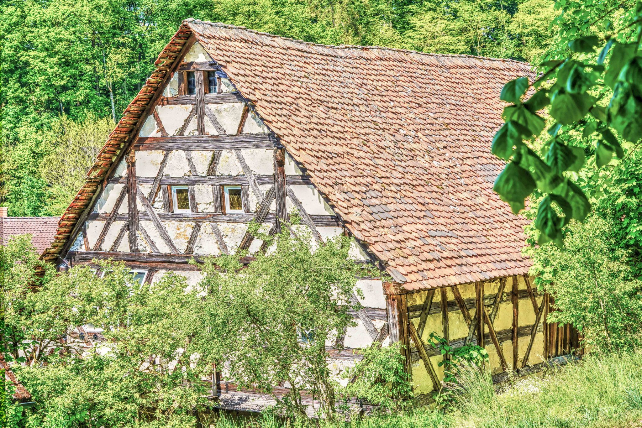Top Photo Spots at Gräfenberg in 2022