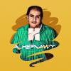 Haytham Alhefnawy