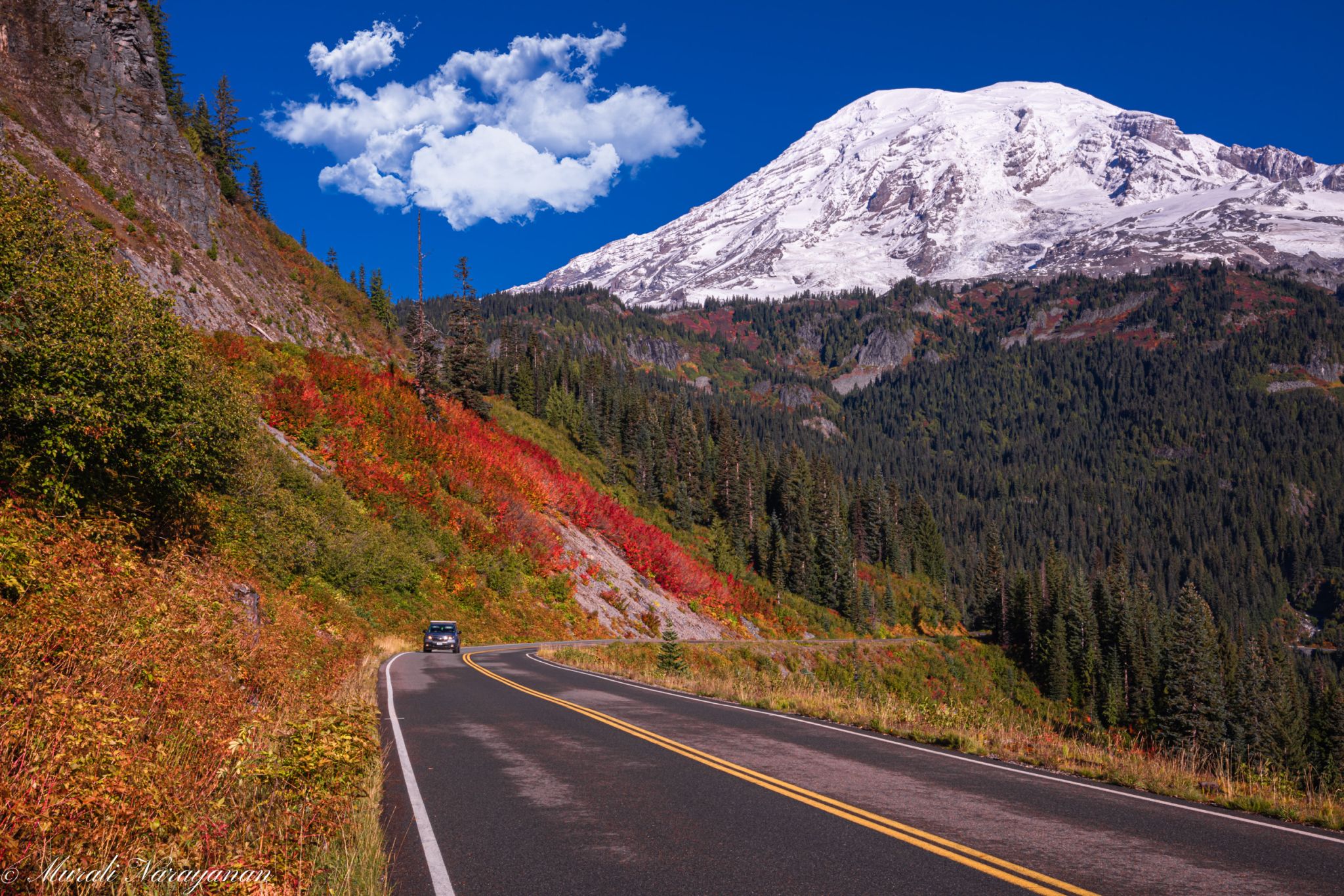 Mt. Rainier Fall Colors, USA