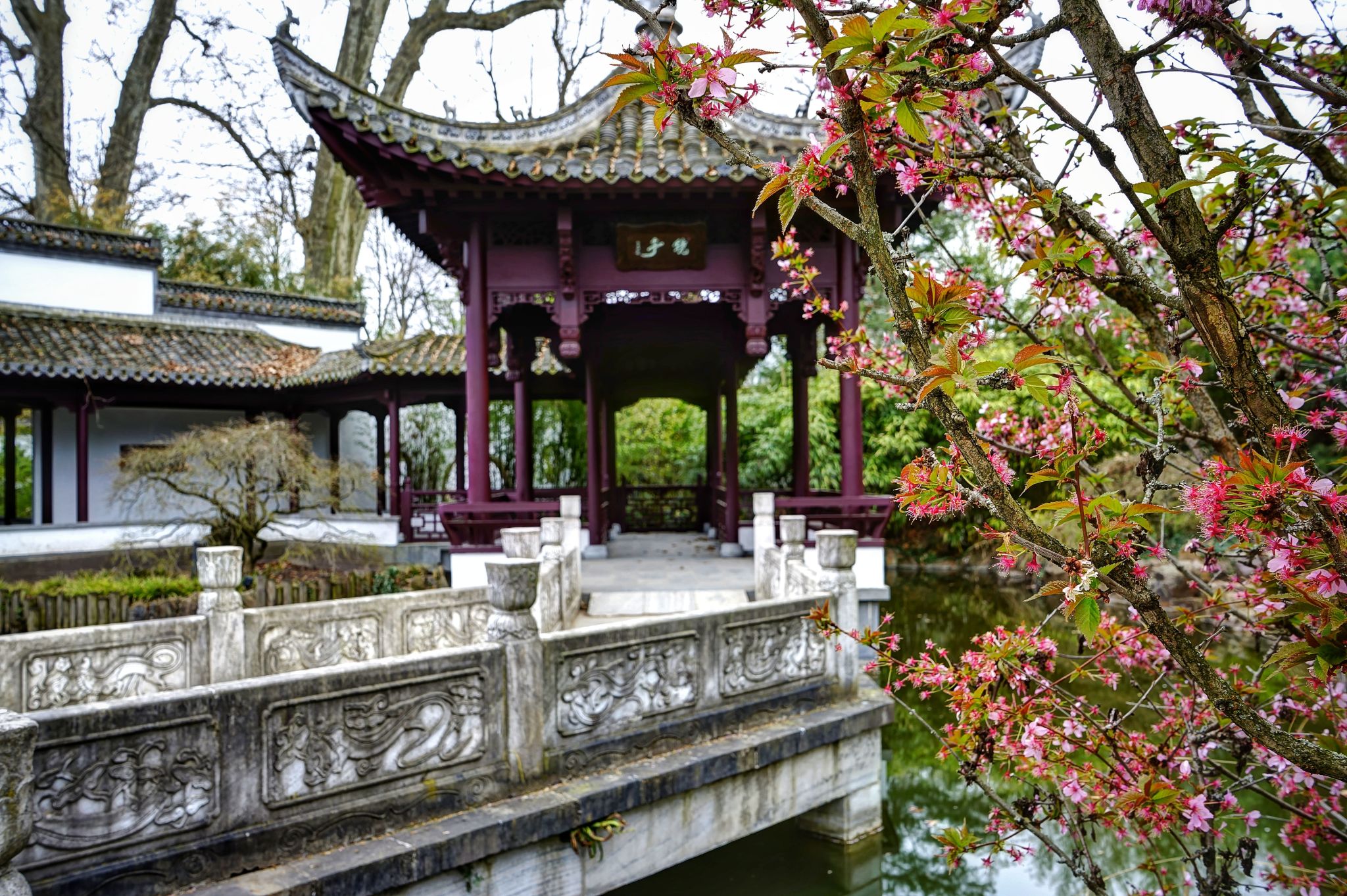 Garten des Himmlischen Friedens, Frankfurt am Main, Germany